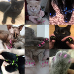 Grooming Nail Claw Cap - petsvine