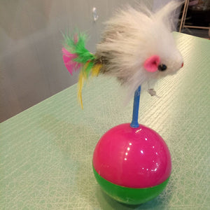 Plastic Play Balls for Cats - petsvine