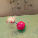 Plastic Play Balls for Cats - petsvine