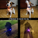 Pet Night Safety LED Flashlight - petsvine