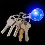 Pet Night Safety LED Flashlight - petsvine