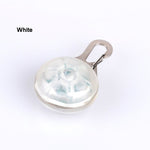 Pet Night Safety LED Flashlight - petsvine