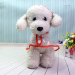 Puppy Waterproof Raincoat - petsvine