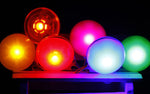 Pet Night Safety LED Flashlight - petsvine