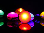 Pet Night Safety LED Flashlight - petsvine