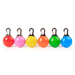 Pet Night Safety LED Flashlight - petsvine