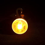 Pet Night Safety LED Flashlight - petsvine