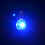 Pet Night Safety LED Flashlight - petsvine