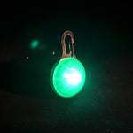 Pet Night Safety LED Flashlight - petsvine