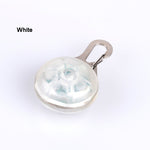 Pet Night Safety LED Flashlight - petsvine