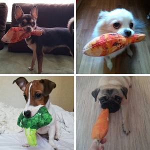 Anti Bite Dog Toys - petsvine