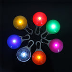 Pet Night Safety LED Flashlight - petsvine