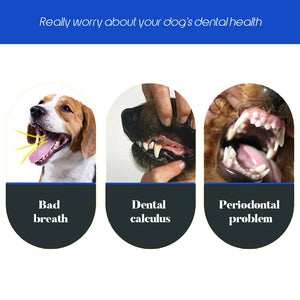 Pets Toothbrush With Three Sides - petsvine