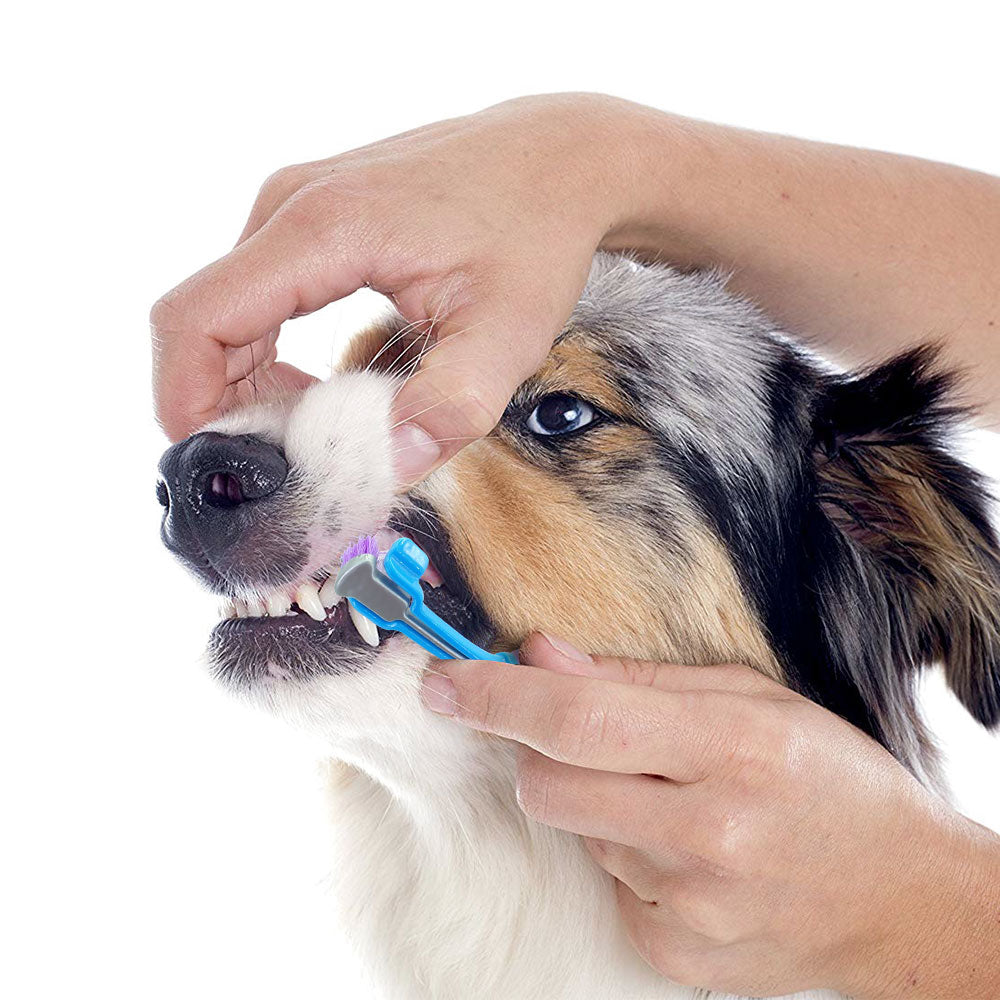 Pets Toothbrush With Three Sides - petsvine