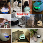USB Electric Water dispenser - petsvine