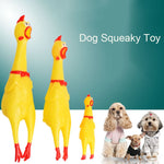 Pets Dog Toys - petsvine