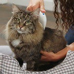 Anti Flea Comb Electric Dog - petsvine