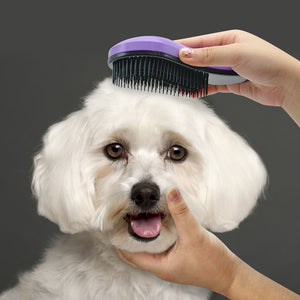 Pet Massage Brush - petsvine