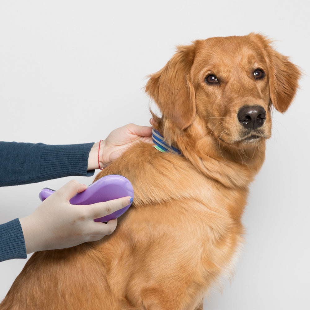 Pet Massage Brush - petsvine