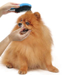 Pet Massage Brush - petsvine